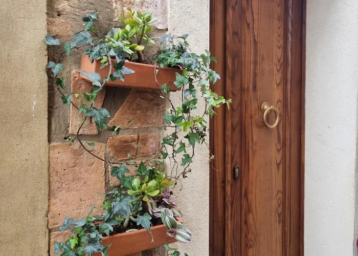 Ognivolta 게스트하우스 4*