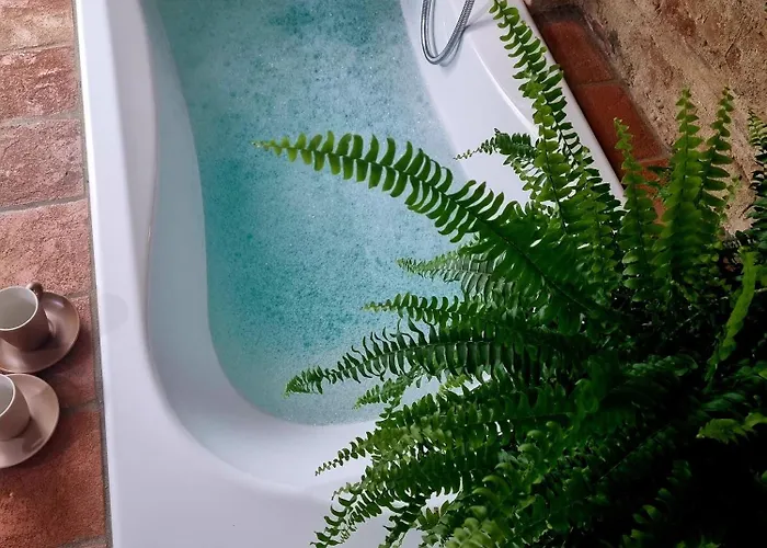 Ognivolta 게스트하우스 4*